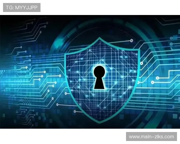 尊龙网址官方网站安全登录流程,保障您的账号信息安全与隐私保护